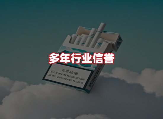 专业团队